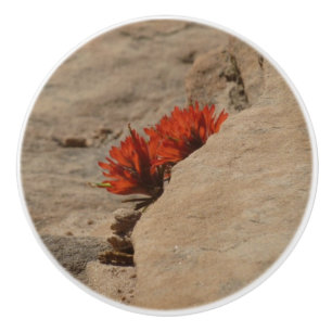 Bouton De Porte En Céramique Pinceau indien dans les rochers à Zion