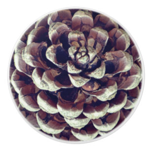 Bouton De Porte En Céramique Pinecone
