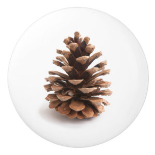 Bouton De Porte En Céramique Pinecone