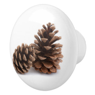 Bouton De Porte En Céramique Pinecones