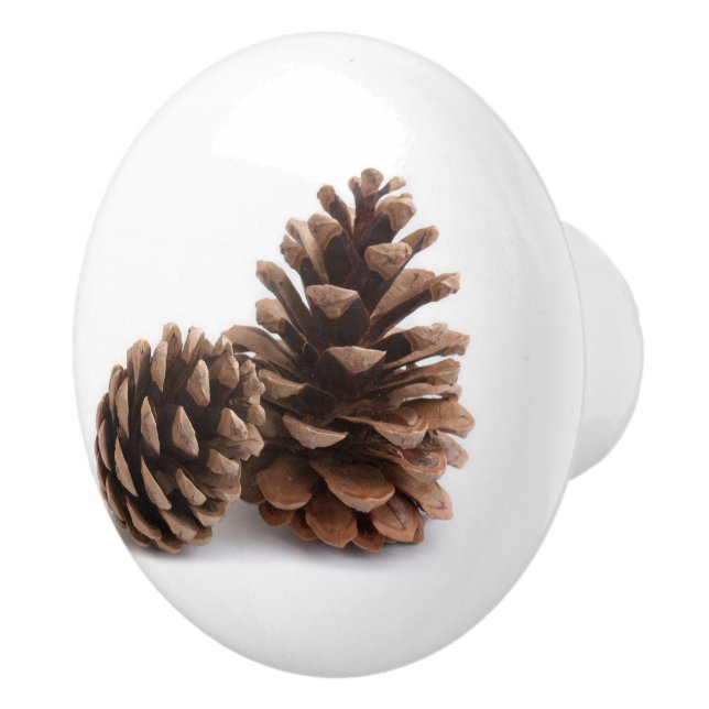 Bouton De Porte En Céramique Pinecones (Droite)