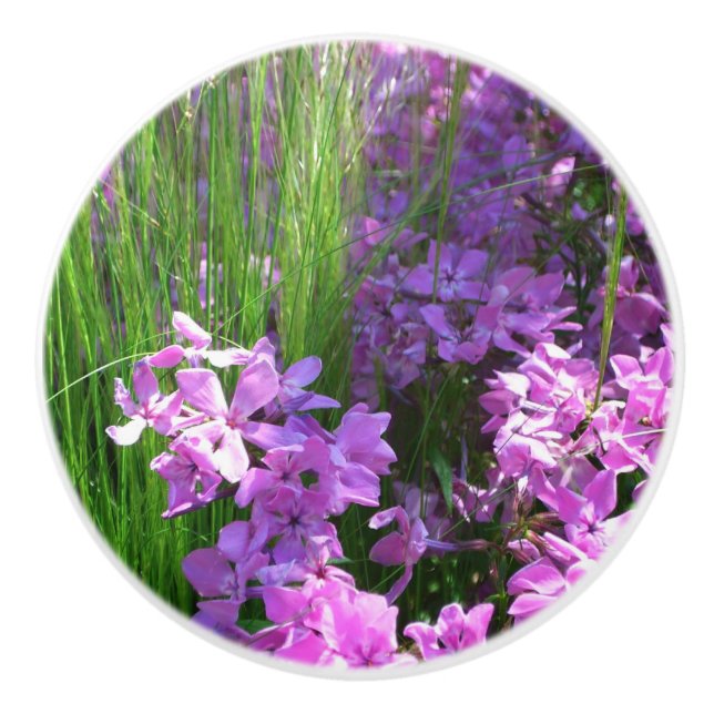 Bouton De Porte En Céramique Pink Phlox et Grass été Floral (Devant)