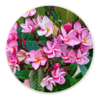 Bouton De Porte En Céramique Pink Plumeria