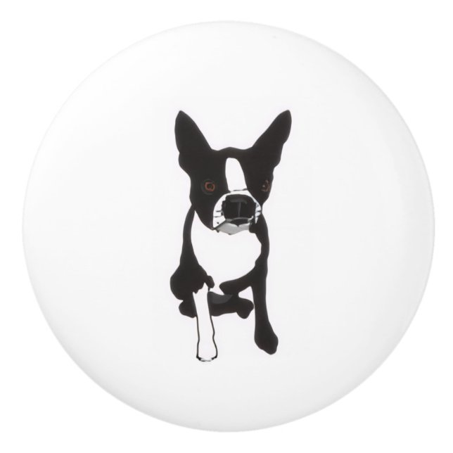 Bouton De Porte En Céramique Piper Drawer Pulls (Devant)