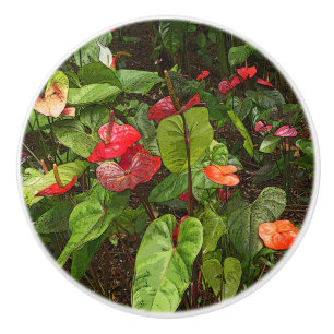 BOUTON DE PORTE EN CÉRAMIQUE "PLANTES D'ANTHURIUM TROPICAL" PORTE CÉRAMIQUE/PUL