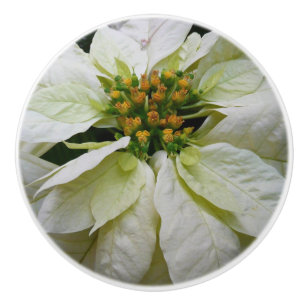 Bouton De Porte En Céramique Poinsettia Elegant Christmas Holiday Floral