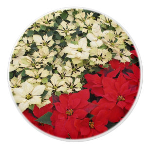 Bouton De Porte En Céramique Poinsettias blanches et rouges I Holiday Floral