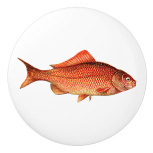 Bouton De Porte En Céramique Poissons vintages/poisson rouge d'or