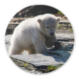Bouton De Porte En Céramique PolarBear_20190302_by_JAMFoto