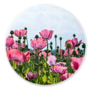 Bouton De Porte En Céramique Poppies roses
