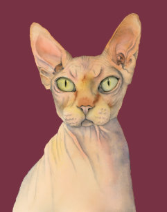 Articles Chat De Sphynx De Maison Decoration Zazzle Fr Articles Chat De Sphynx De Maison Decoration Zazzle Fr
