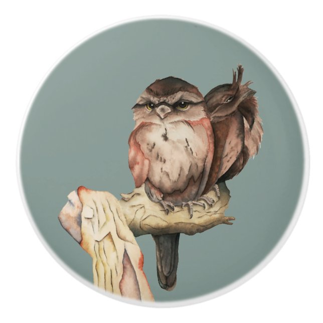 Bouton De Porte En Céramique Portrait mignon d'aquarelle d'oiseaux de hibou (Devant)