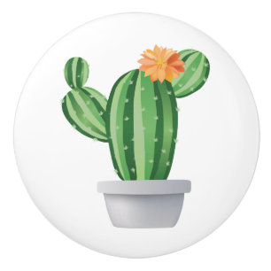 Bouton De Porte En Céramique Pot Prickly Pear