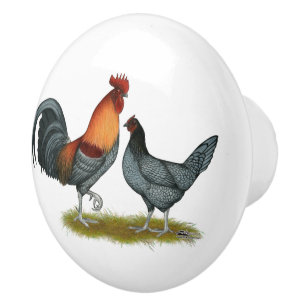 Bouton De Porte En Céramique Poule bleue du Delaware