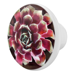 Bouton De Porte En Céramique Poules dans les poussins Succulent Plante Maroon v