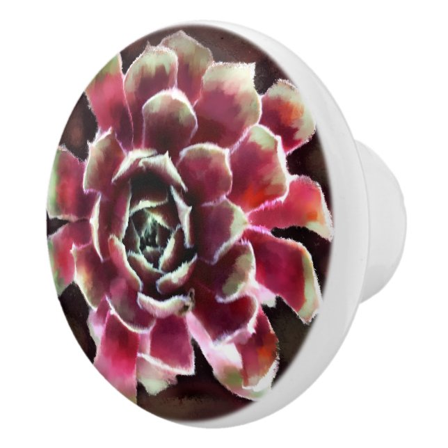 Bouton De Porte En Céramique Poules dans les poussins Succulent Plante Maroon v (Droite)