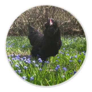 Bouton De Porte En Céramique Poulet de poule à bec gauche des fleurs bleues de