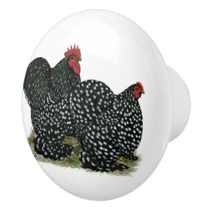 Bouton De Porte En Céramique Poulet moucheté
