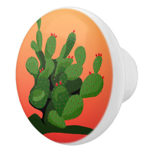 Bouton De Porte En Céramique Prickly Pear Desert Sunset Door Knoor