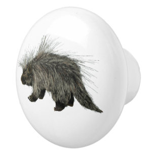 Bouton De Porte En Céramique Prickly Porky