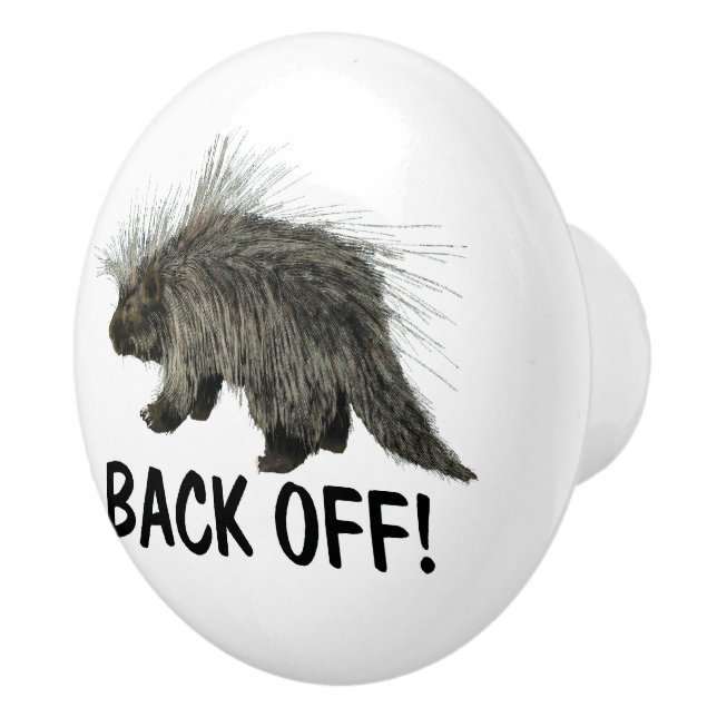 Bouton De Porte En Céramique Prickly Porky (Droite)