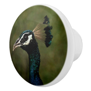 Bouton De Porte En Céramique Profil de Peacock