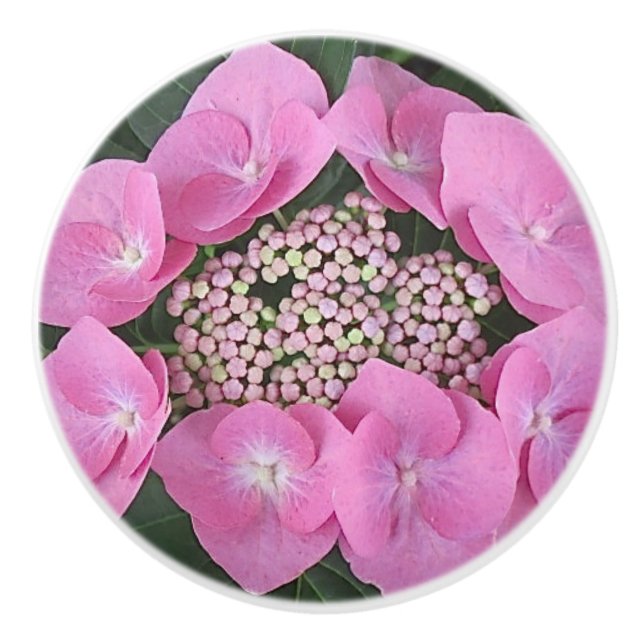 Bouton De Porte En Céramique Pull en céramique Lacecap Hydrangea (Devant)