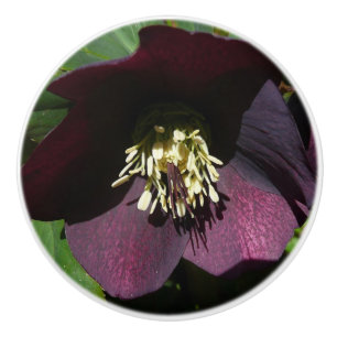 Bouton De Porte En Céramique Purple Carême Rose Pâques