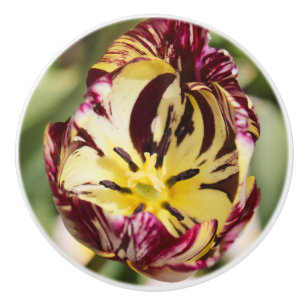 Bouton De Porte En Céramique Quand Tu Étais Une Tulipe