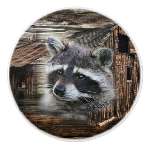 Bouton De Porte En Céramique Raccoon À L'Ancienne Grange