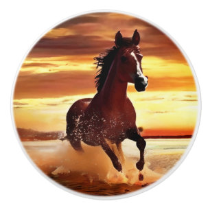 Bouton De Porte En Céramique Randonnée À Cheval Sauvage À Travers Le Surf