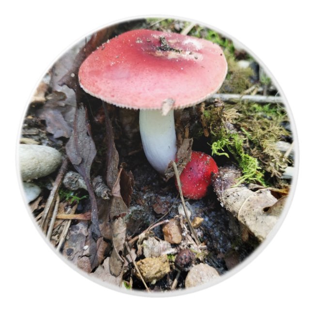 Bouton De Porte En Céramique Red Mushroom Fairy Ceramic Knob (Devant)