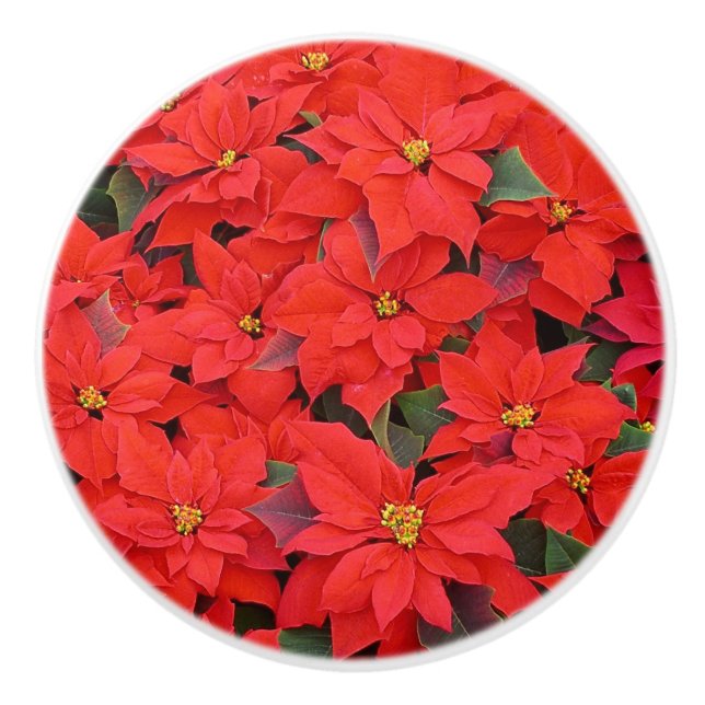 Bouton De Porte En Céramique Red Poinsettias I Christmas Holiday Floral Photo (Devant)