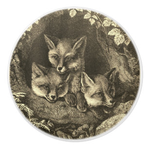 Bouton De Porte En Céramique Renard vintage