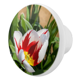 Bouton De Porte En Céramique Ressort Tulip en céramique