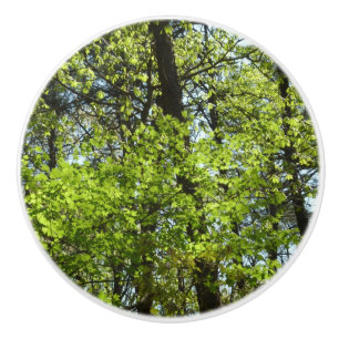 Bouton De Porte En Céramique Ressource Feuille