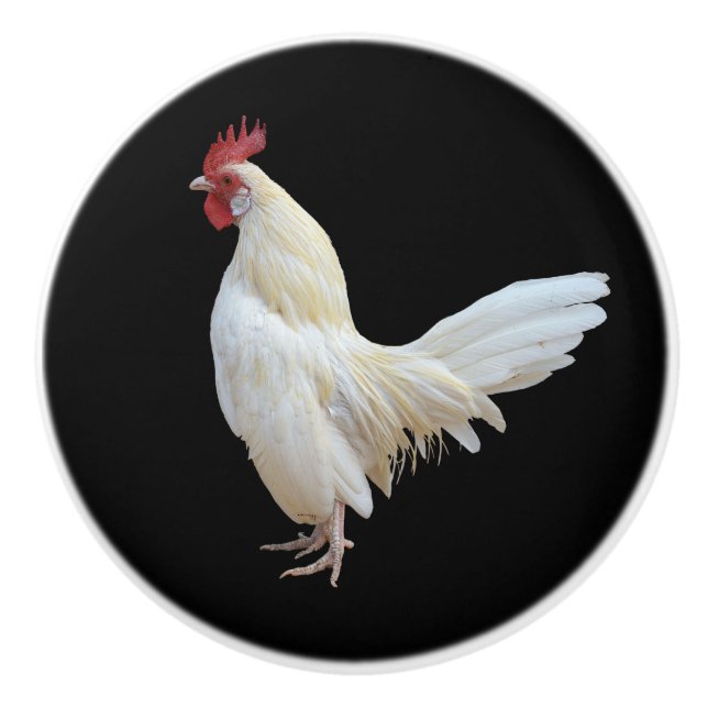 BOUTON DE PORTE EN CÉRAMIQUE ROOSTER* BLANC (Devant)