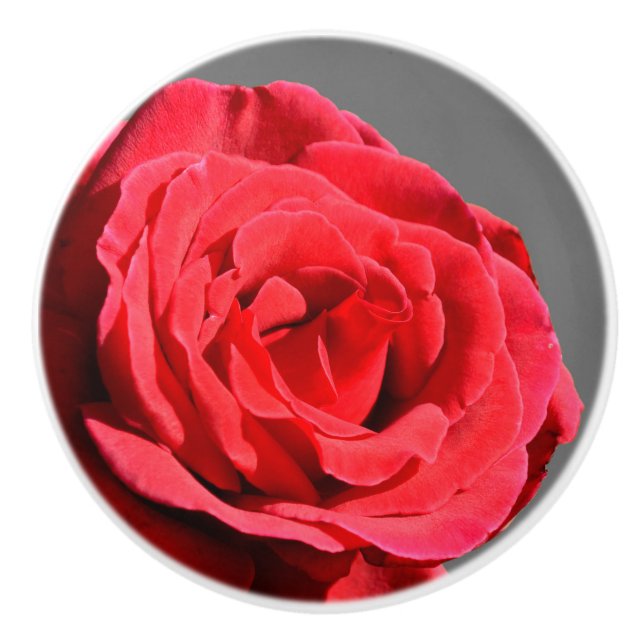 Bouton De Porte En Céramique Rose Knob (Devant)