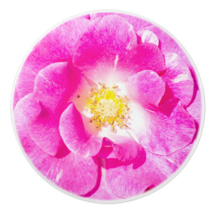 Bouton De Porte En Céramique Rose rose