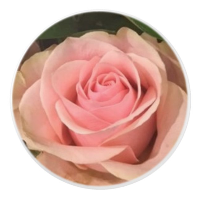 Bouton De Porte En Céramique Rose rose céramique Pull (Devant)