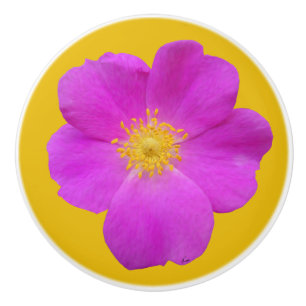 Bouton De Porte En Céramique Rose sauvage 2
