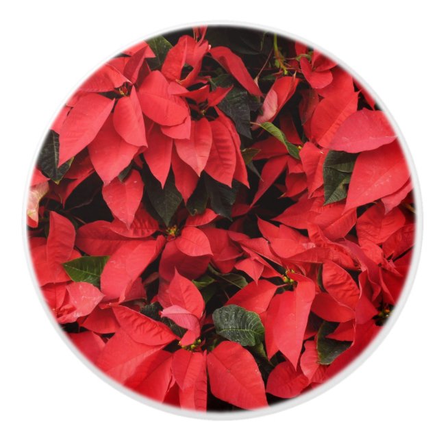Bouton De Porte En Céramique Rouge Poinsettias II Noël Fête Florale (Devant)