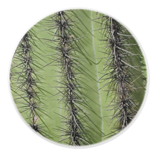 Bouton De Porte En Céramique Saguaro Cactus Photo Bright Green Plante Sud-ouest (Devant)