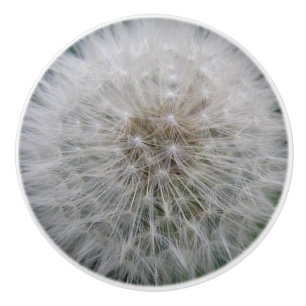 Bouton De Porte En Céramique Saisie Dandelion Fleur Ceramic Knob
