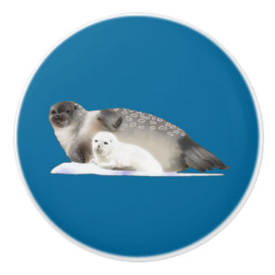 Bouton De Porte En Céramique Sceau annelé