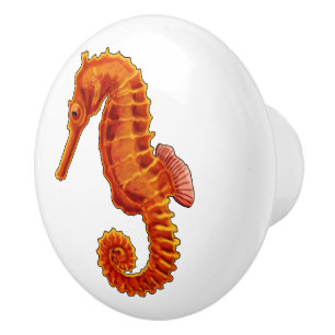 Bouton De Porte En Céramique Seahorse