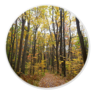 Bouton De Porte En Céramique Sentier d'automne et feuilles dorées à Laurel Hill