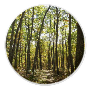 Bouton De Porte En Céramique Sentier des Appalaches en octobre à Shenandoah