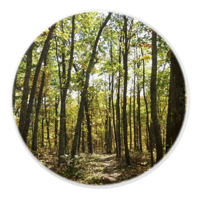 Bouton De Porte En Céramique Sentier des Appalaches en octobre à Shenandoah (Devant)
