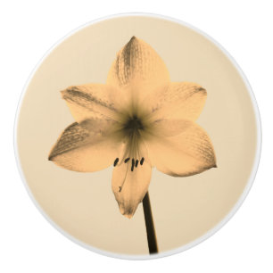Bouton De Porte En Céramique Sepia amaryllis